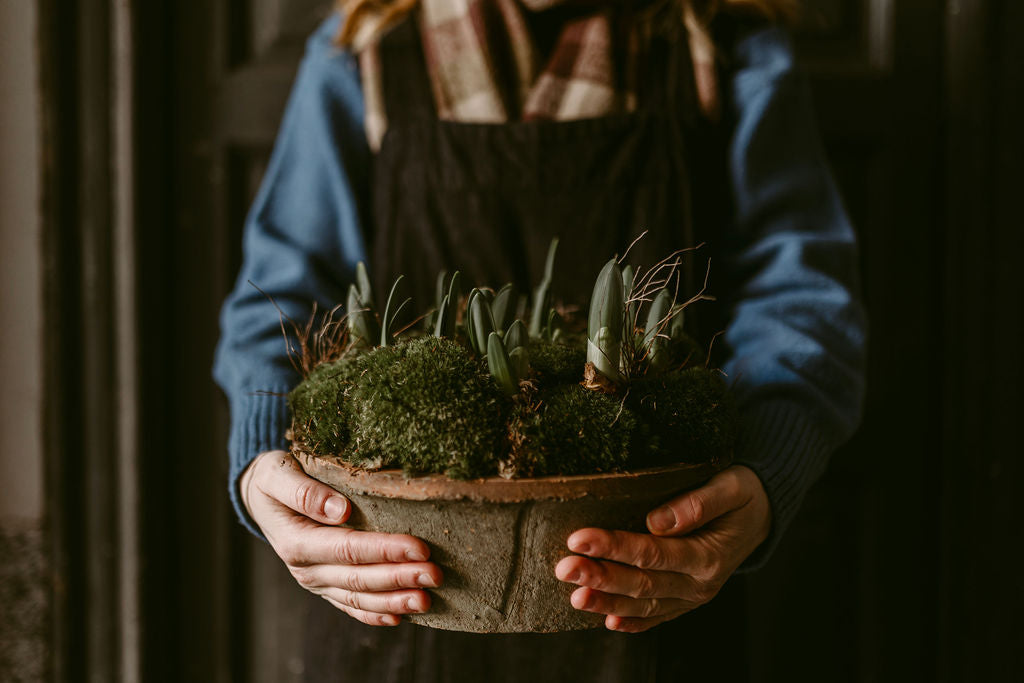 Fai crescere l'amore